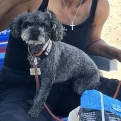 A photo of Dana