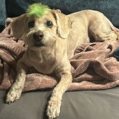 A photo of Hannah